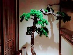 -揽季锅物会.福建黄鱼.海鲜姿造(五四路店)