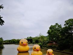 -上海海湾国家森林公园