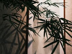 -31号公馆(黄兴广场白果园店)