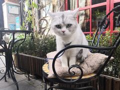 -飞马旅黎黄陂路文旅街区