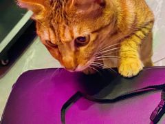 -叁 Three· bistro餐酒馆