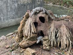 -野象谷景区