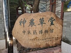 -广州神农草堂中医药博物馆