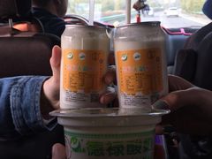 -德禄酸奶(莫家街店)