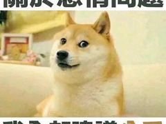 -张记牛肉面馆(天津路店)