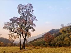 -东湖落雁景区