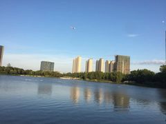 -南翔镇银翔湖公园