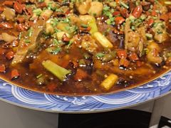 -新概念来凤鱼(璧山店)