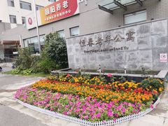 -朝阳区恒春绿景老年公寓