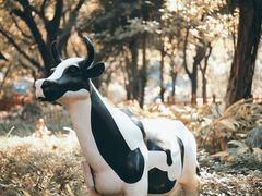 -晓港公园