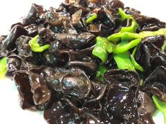 -石头咕(葵蓬店)