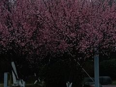 -潜龙渠公园