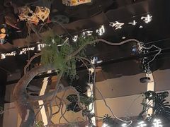 -桂满陇·海市蜃楼·黑金(国金店)