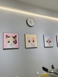 -洗脸猫·洗脸吧