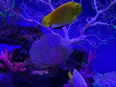 -上海海昌海洋公园