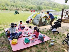 -大连铭湖国际观光牧场