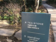 -雪绿茶博物馆