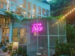 -有猫主题·治愈系猫咖(曾厝垵店)