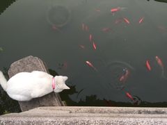 -苏州文旅花间堂·探花府酒店
