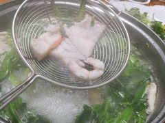 -金砂阿洲鱼册店