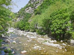 -沣峪森林公园龙潭戏水景区
