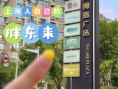 -证大大拇指广场(芳甸路店)