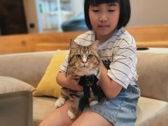 -啵啵喵·猫咖(攀华国际店)