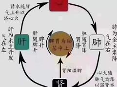 -裕和堂中医推拿艾灸(太古汇臻品店)
