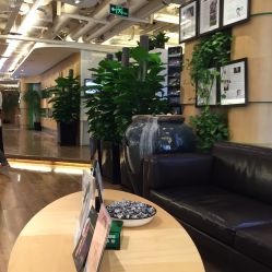 東田造型(东方广场全国总店)-東田造型