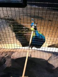 -酷嗒动物文化乐园(cutezoo西溪乐天城店)