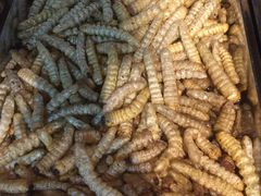 -昆虫窝子·特色云南菜(拓东路总店)