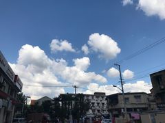 -顶巧鸡汤馄饨(虹口总店)