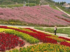 -沂蒙云瀑洞天景区