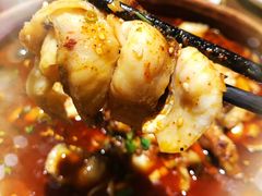 -向川南·水煮鱼·川菜(和平里店)