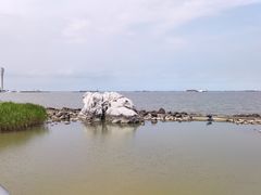 -上海吴淞炮台湾国家湿地公园