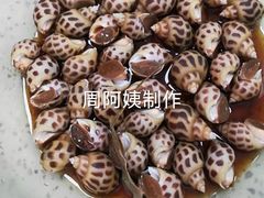 -大班家政月嫂育儿嫂(深圳NO.1店)