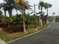 -瑶湖郊野森林公园