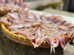 -东钱湖旅游度假区