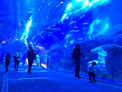 -成都浩海立方海洋公园