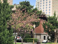 -南京钟山宾馆(江苏省会议中心)