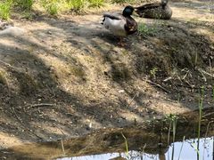 -元大都城垣遗址公园