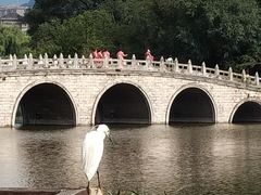 -凤池园