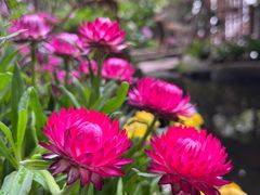 -火炉山森林公园