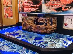 景观位-蟹道乐(道顿堀本店)