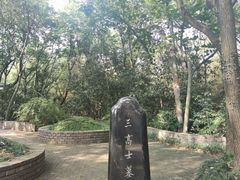 -上海佘山国家森林公园天马山园