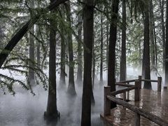 -东湖落雁景区