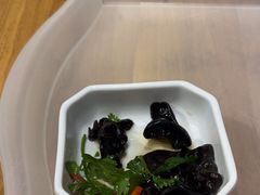 -金鼎轩(阜成门店)