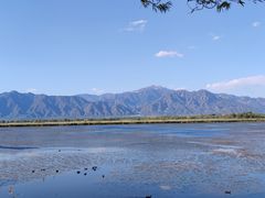 -野鸭湖国家湿地公园