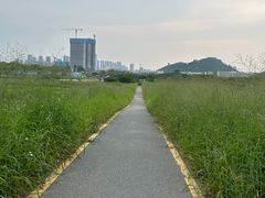 -光明小镇欢乐田园