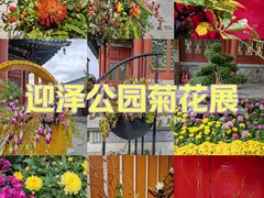 -迎泽公园